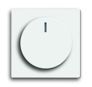 Zentralscheibe Dimmer future linear 6540-84-102-510 