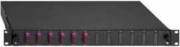 BasicLine Spleissbox 6xLC-D OM4 erika 2280301060 