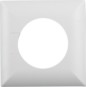morepic-1