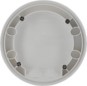 morepic-1