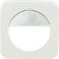 morepic-1