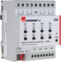 morepic-1