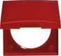 morepic-1
