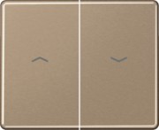Wippe Symbole gold brz für Taster SL 595 P GB 