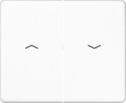 Wippe Symbole aws für Taster SL 595 P WW 