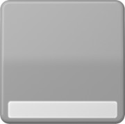 Wippe Schriftfeld gr für Taster CD 590 NA 