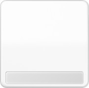 Wippe Schriftfeld aws für Taster CD 590 NA WW 
