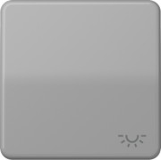 Wippe Symbol LICHT gr für Taster CD 590 L 