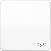 Wippe Symbol LICHT aws für Taster CD 590 L WW 