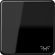 Wippe Symbol LICHT sw für Taster CD 590 L 