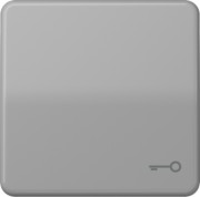 Wippe Symbol TÜR gr für Taster CD 590 T 