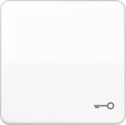 Wippe Symbol TÜR aws für Taster CD 590 T WW 
