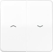 Wippe Symbole aws für Taster CD 595 P WW 