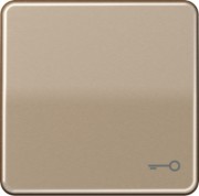 Wippe Symbol TÜR gold brz für Taster CD 590 T GB 