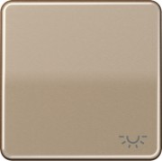 Wippe Symbol LICHT gold br für Taster CD 590 L GB 