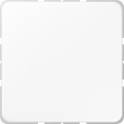 Blind-Abdeckung aws kompl.mit Tragring CD 594-0 WW 
