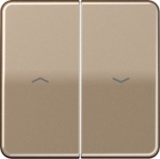 Wippe Symbole gold brz für Taster CD 595 P GB 