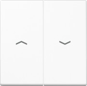 Wippe Symbole aws für Jal.Wippschalter A 595 P WW 