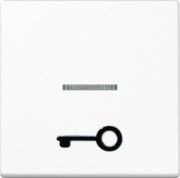 Wippe abt.Symbol TÜR aws für beleuchtb.Taster A 590 T1KO WW 
