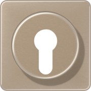 Abdeckung gold brz für Schlüsselschalt. CD 528 GB 