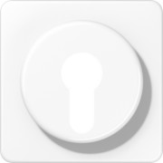 Abdeckung aws für Schlüsselschalt. CD 528 WW 