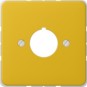 morepic-1