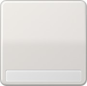 Wippe Schriftfeld lgr für Taster CD 590 NA LG 