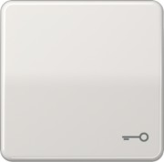 Wippe Symbol TÜR lgr für Taster CD 590 T LG 