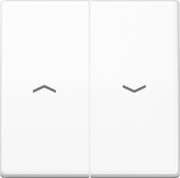 Wippe Symbole aws für Taster AS 591-5 P WW 