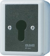 Schlüsselschalter Taster 1-pol. 833.18 G 