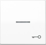 Wippe Symbol TÜR aws für beleuchtb.Taster ABAS 591 KO5T WW 