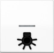 Wippe abt.Symbol LICHT aws für beleuchtb.Taster ABAS 591 L1KO5 WW 