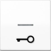 Wippe abt.Symbol TÜR aws für beleuchtb.Taster ABAS 591 T1KO5 WW 
