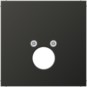 morepic-1