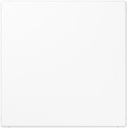Blind-Abdeckung aws kompl.mit Tragring LS 994 B WW 