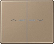 Wippe Symbole/Lichtl.gold für Taster 2-fach SL 595 KO5P GB 