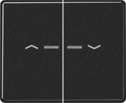 Wippe Symbole/Lichtl.sw für Taster 2-fach SL 595 KO5P SW 