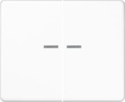 Wippe Lichtleiter aws für Taster SL 595 KO5 WW 