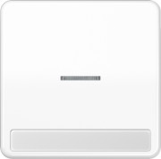 Wippe Licht./Schriftf.aws für Taster CD 590 NAKO5 WW 