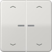 Wippe Symbole/Lichtl.lgr für Taster 2-fach CD 595 KO5MP LG 