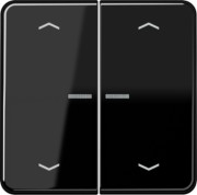 Wippe Symbole/Lichtl.sw für Taster 2-fach CD 595 KO5MP SW 