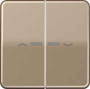 Wippe Symbole/Lichtl.gold für Taster 2-fach CD 595 KO5P GB 