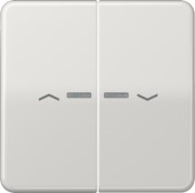 Wippe Symbole/Lichtl.lgr für Taster 2-fach CD 595 KO5P LG 