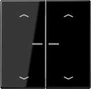 Wippe Symbole/Lichtl.sw für Taster 2-fach LS 995 KO5MP SW 