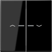 Wippe Symbole/Lichtl.sw für Taster 2-fach LS 995 KO5P SW 