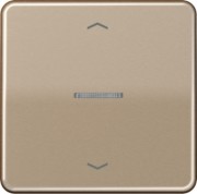 Wippe Symbole/Lichtl.gold für Taster CD 590 KO5P GB 
