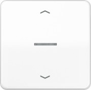 Wippe Symbole/Lichtl.aws für Taster CD 590 KO5P WW 