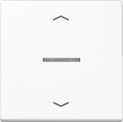 Wippe Symbole aws für Taster A 590 KO5P WW 