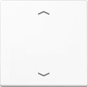 Wippe Symbole aws für Taster A 590 P WW 