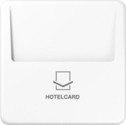 Hotelcard-Schalter aws ohne Taster-Einsatz CD 590 CARD WW 